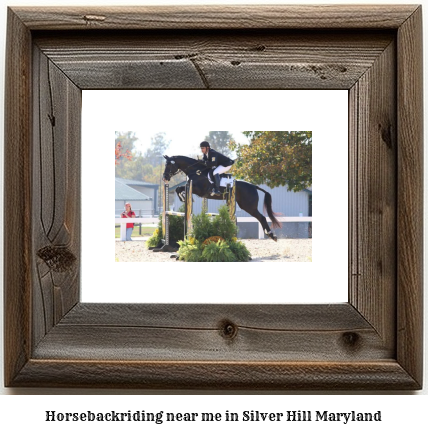 horseback riding near me in Silver Hill, Maryland